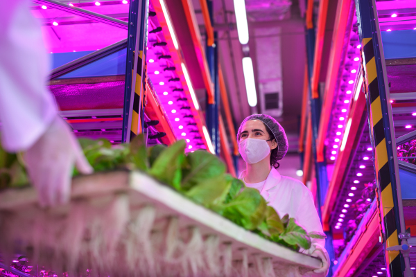 Side view of workers with face mask on aquaponic farm, sustainable business and coronavirus.