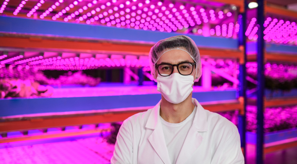 Front view of worker with face mask looking at camera on aquaponic farm, sustainable business and coronavirus.