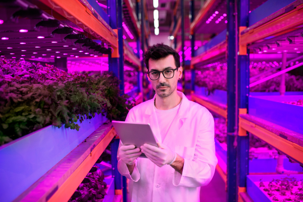 Portrait of worker with tablet on aquaponic farm, sustainable business and artificial lighting.