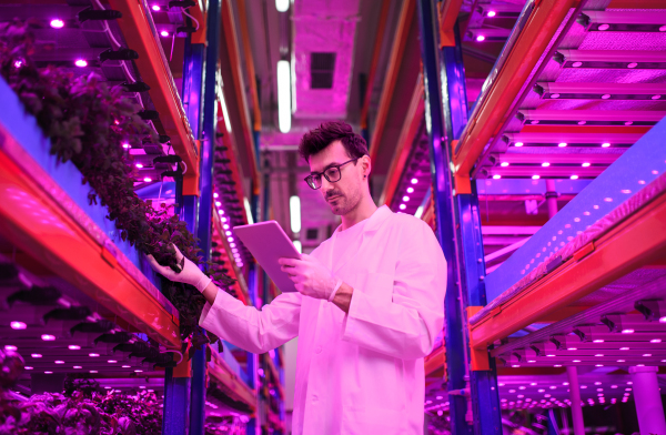 Low-angle view portrait of worker with tablet on aquaponic farm, sustainable business and artificial lighting.