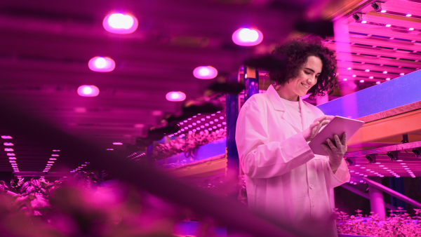 Portrait of worker with tablet on aquaponic farm, sustainable business and artificial lighting.