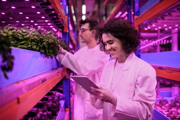 Portrait of workers using tablet on aquaponic farm, sustainable business and artificial lighting.