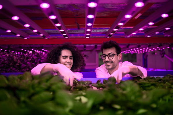 Portrait of workers on aquaponic farm, sustainable business and artificial lighting.