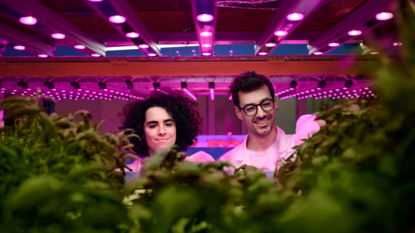 Portrait of workers on aquaponic farm, sustainable business and artificial lighting.