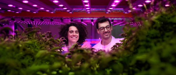 Portrait of workers looking at camera on aquaponic farm, sustainable business and artificial lighting.