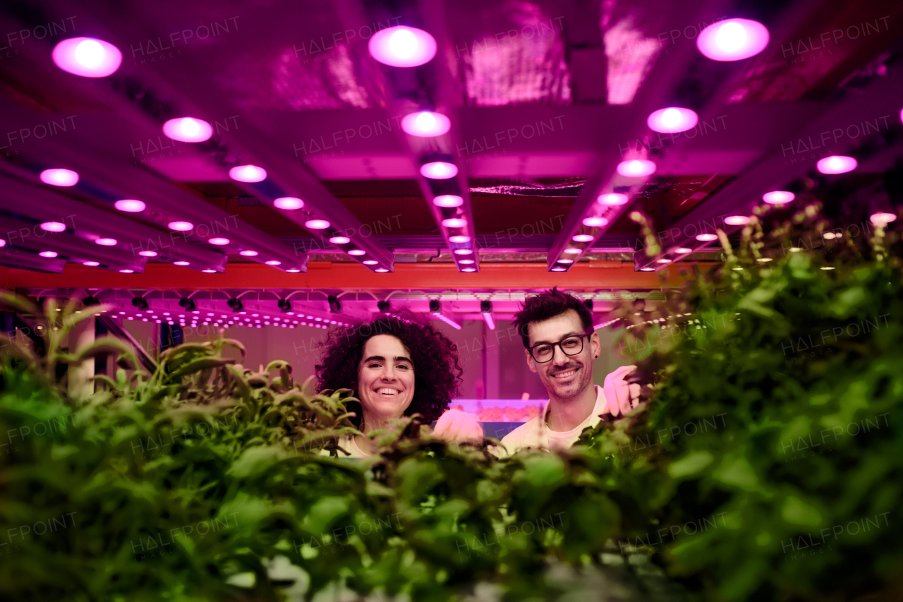 Portrait of workers looking at camera on aquaponic farm, sustainable business and artificial lighting.