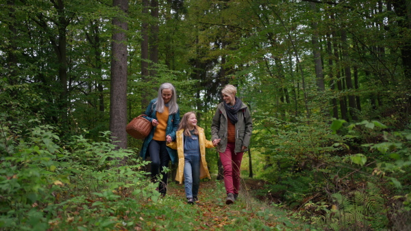 A small girl with mother and grandmother holding hands on walk outoors in forest.