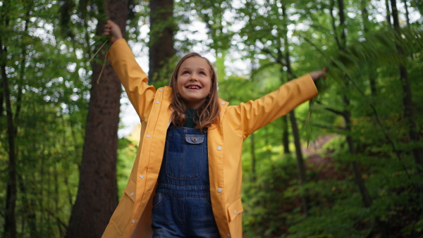 A low angle view of happy little girl holding fern leaves outdoors in forest.