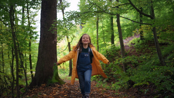 A low angle view of happy little girl holding fern leaves outdoors in forest.