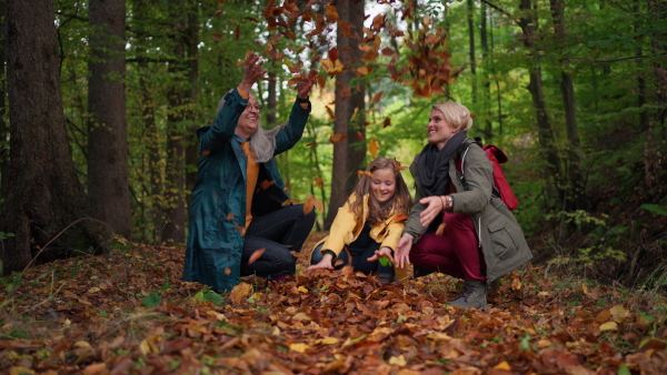 A happy little girl with mother and grandmother having fun with leaves during autumn walk in forest