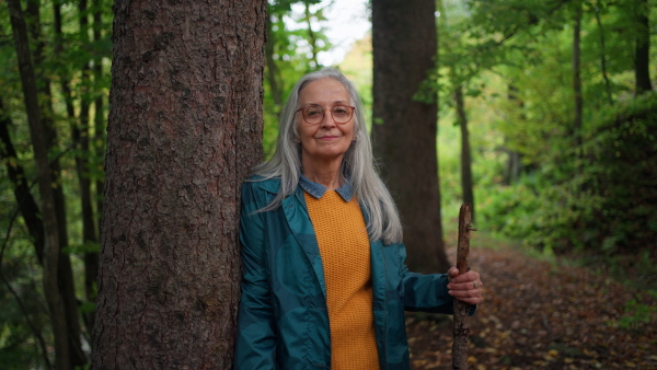 A happy senior woman with stick on walk outdoors in forest in autumn, looking at camera.