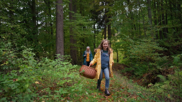 A happy little girl with basket running during walk with mother and grandmother outdoors in forest