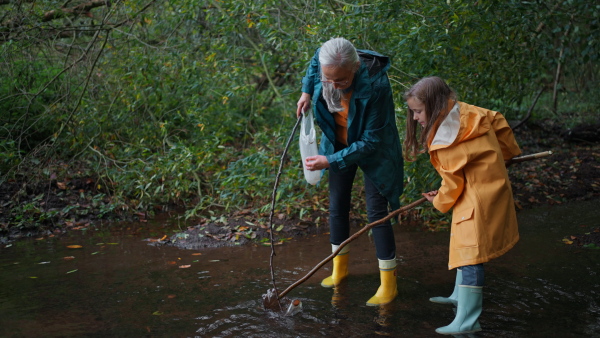 A small girl with grandmother picking up waste from little lake outoors in forest.