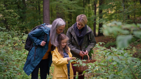 A small girl with mother and grandmother holding basket while walking outoors in forest.