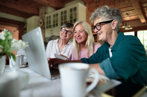 Happy senior friends women having fun and using a laptop indoors at home, coffee time.