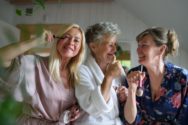 Happy senior women friends in bathrobes doing a make up indoors at home, selfcare concept.