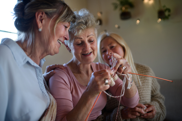 Happy senior female friends having fun knitting together indoors at home.