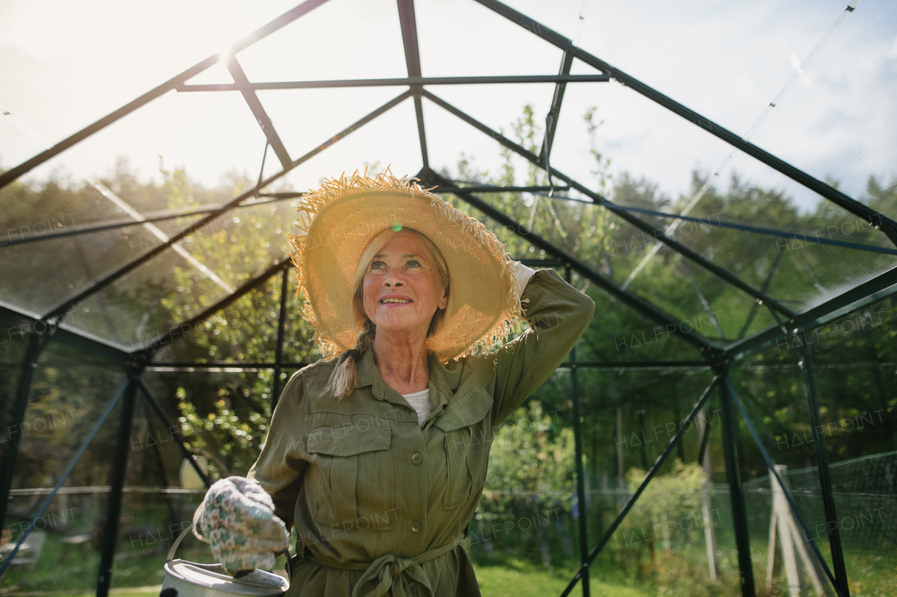 A happy senior gardener woman holding watering can in greenhouse at garden.