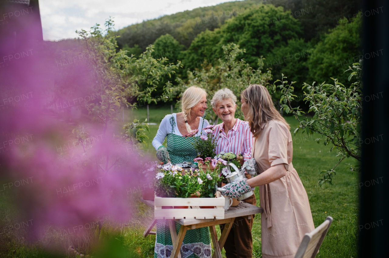 Happy three senior women friends planting flowers together outdoors, community garden concept.