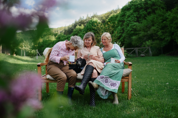 Happy senior women friends sitting on a bench and drinking tea outdoors in garden, laughing.