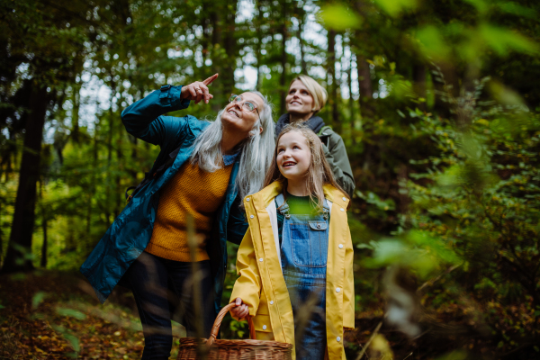 A small girl with mother and grandmother looking up while walking outoors in forest.