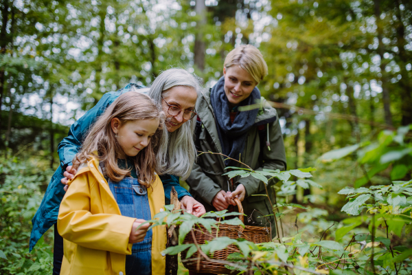 A small girl with mother and grandmother holding basket while walking outoors in forest.