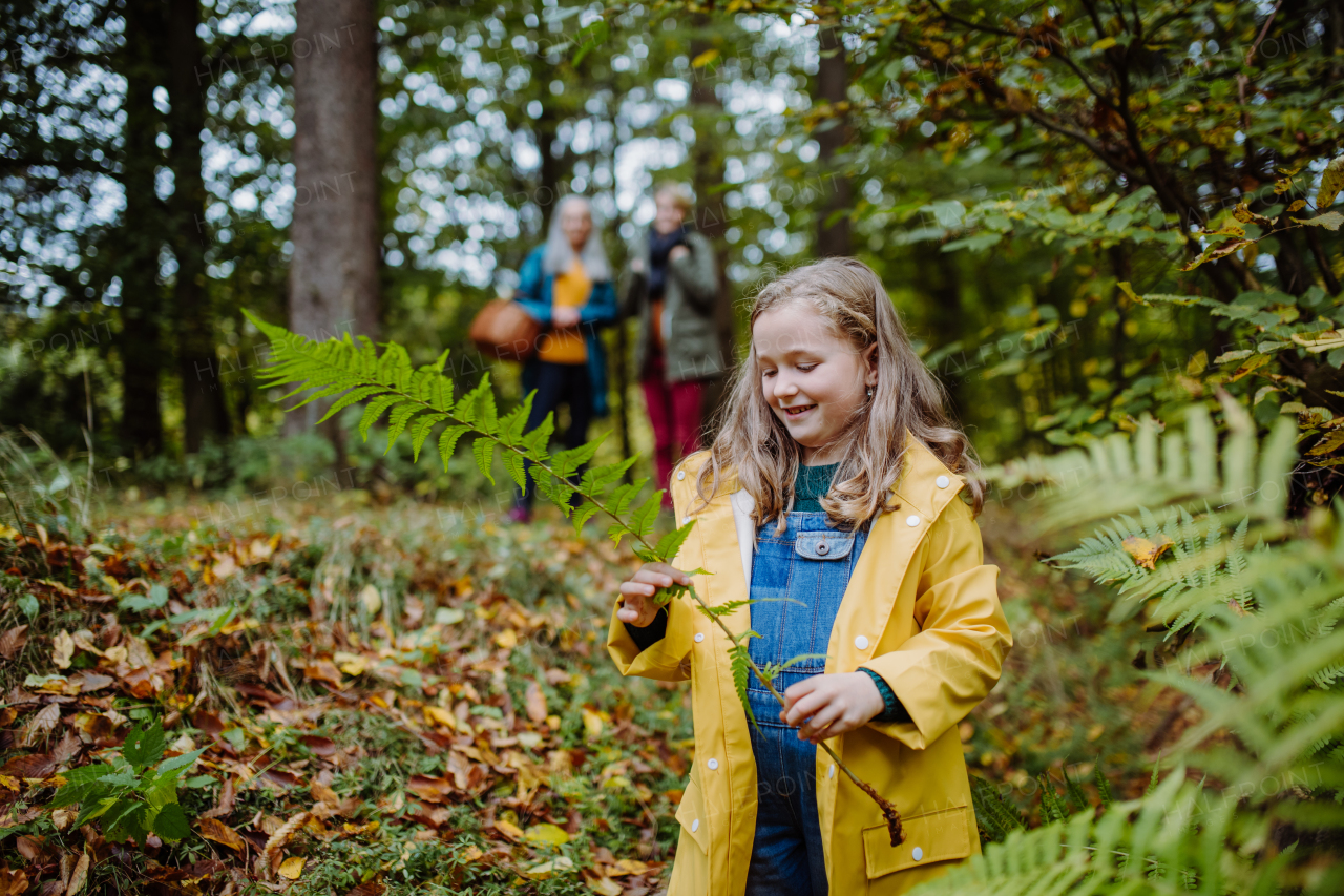 Happy little girl walking in autumn forest with her mother and grandmother, holding a fern. Multigeneration relationship concept.