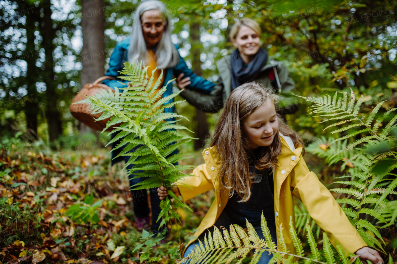 A happy little girl holding fern leaves during autumn walk with mother and grandmother in forest