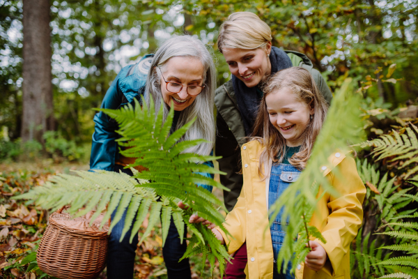 A happy little girl holding fern leaves during autumn walk with mother and grandmother in forest