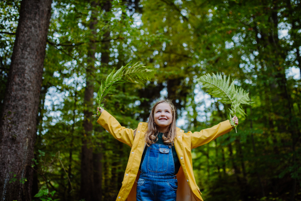 A low angle view of happy little girl holding fern leaves outdoors in forest.