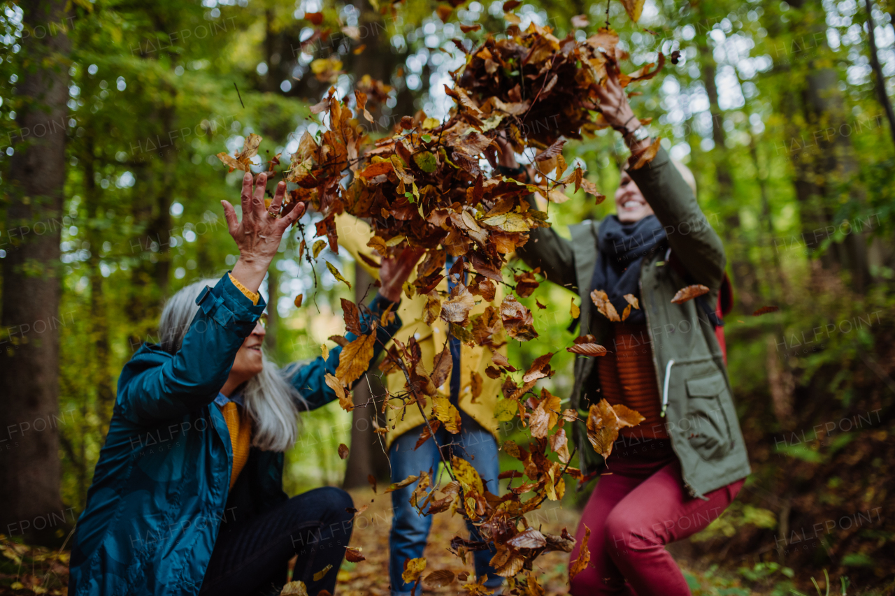 A happy little girl with mother and grandmother having fun with leaves during autumn walk in forest