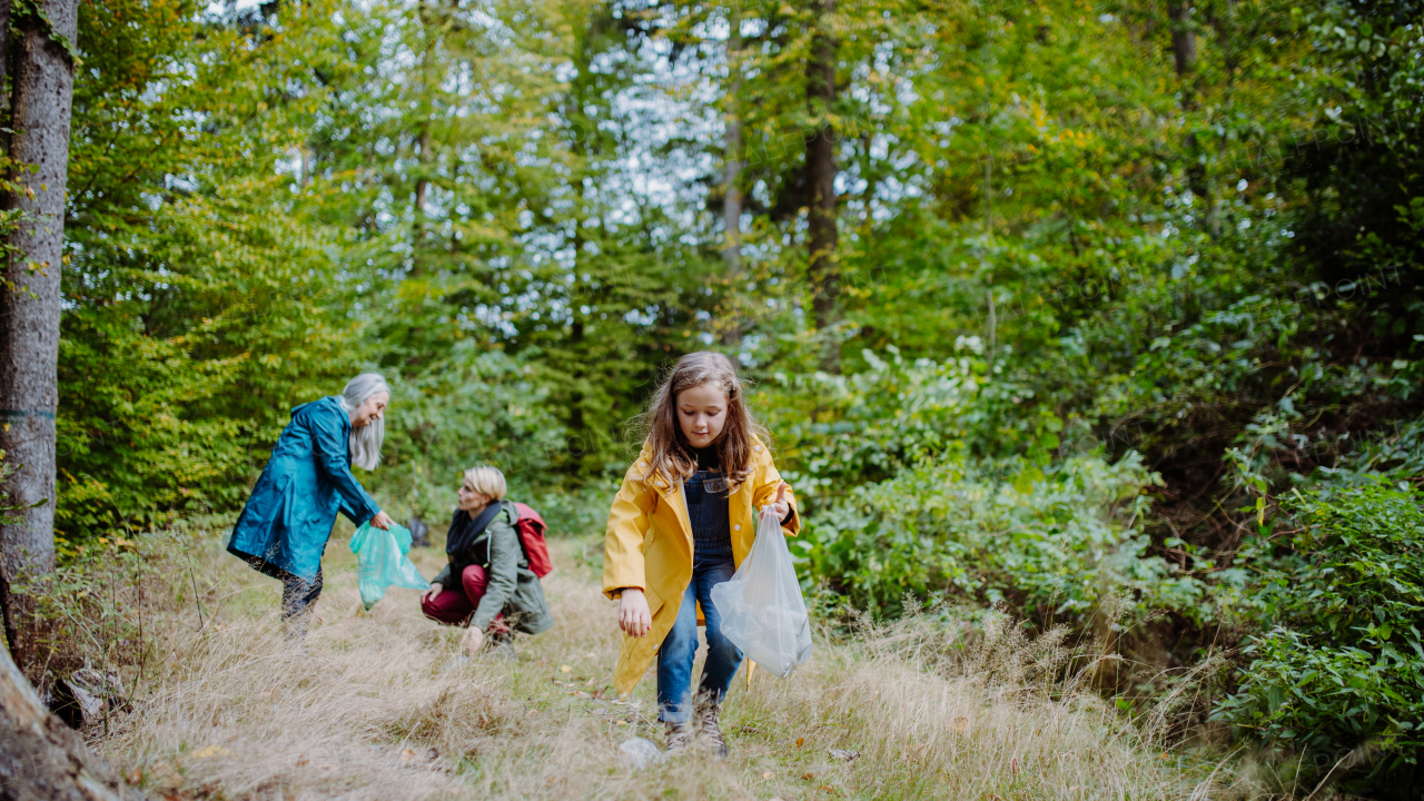 A small girl with mother and grandmother picking up waste outoors in forest.