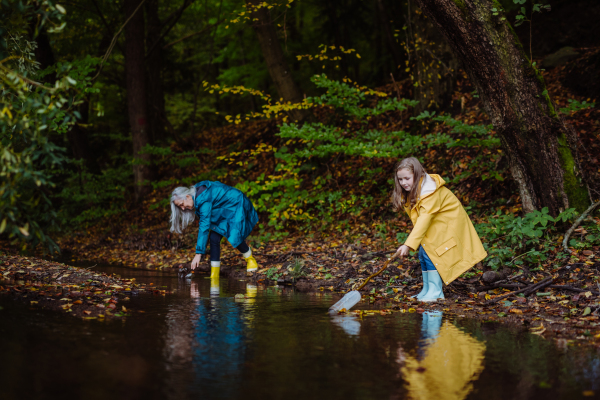 A small girl with grandmother picking up waste from little lake outoors in forest.