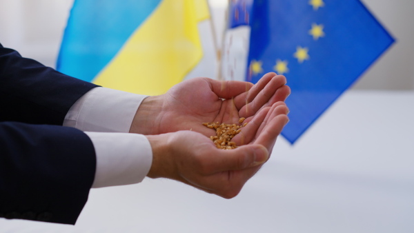 Ukraine exports wheat to Europe, an inclusion of Ukraine to European union concept.