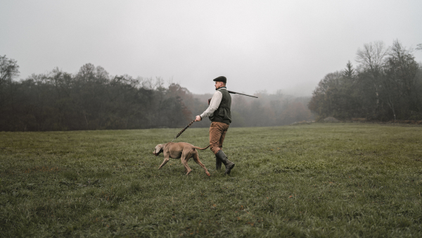 A hunter man with dog in traditional shooting clothes on field holding shotgun.