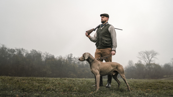 A hunter man with dog in traditional shooting clothes on field holding shotgun.