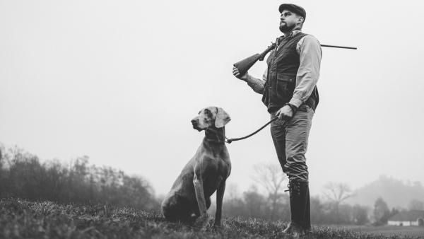 A hunter man with dog in traditional shooting clothes on field holding shotgun, black and white photo.