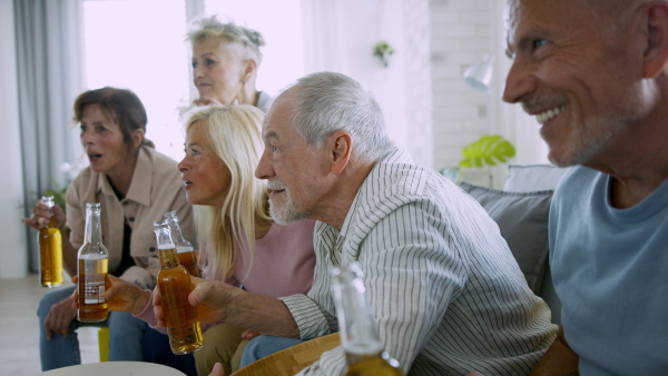 Group of cheerful senior friends watching sports indoors and celebrating. Party, social gathering and having fun concept.