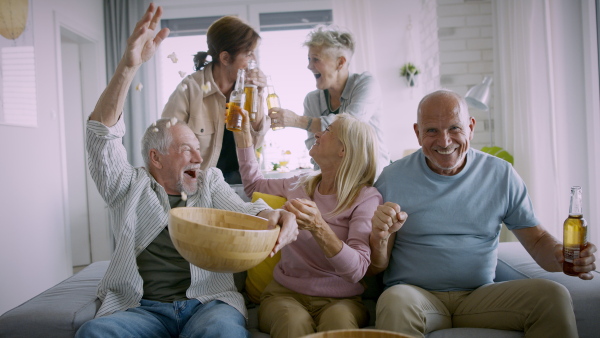 Group of cheerful senior friends watching sports indoors and celebrating. Party, social gathering and having fun concept.