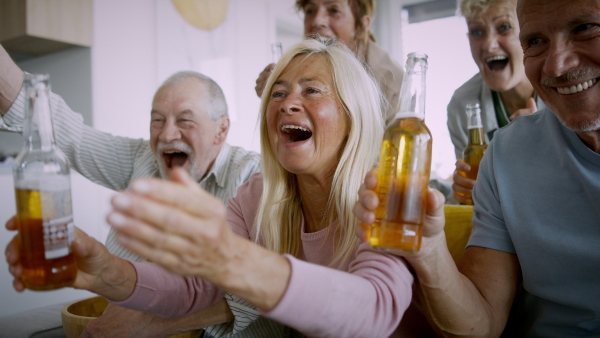 Group of cheerful senior friends watching sports indoors and celebrating. Party, social gathering and having fun concept.