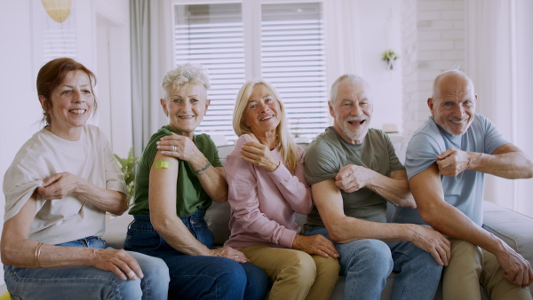 A group of senior friends showing plaster on arm indoors, covid-19 vaccination concept.