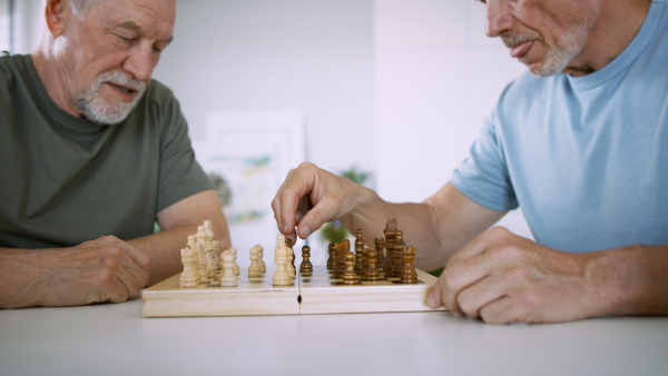 Two senior friends playing chess and talking indoors, social gathering concept.