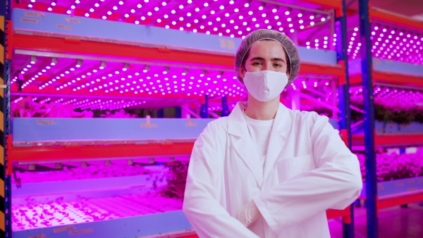 Front view of worker with face mask on aquaponic farm, looking at camera. Sustainable business and coronavirus.