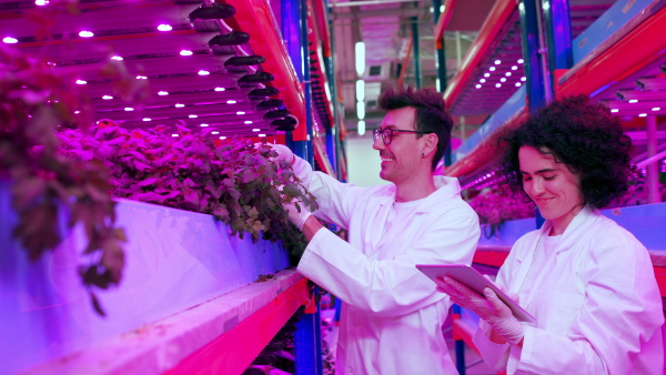 Portrait of workers using tablet on aquaponic farm, sustainable business and artificial lighting.