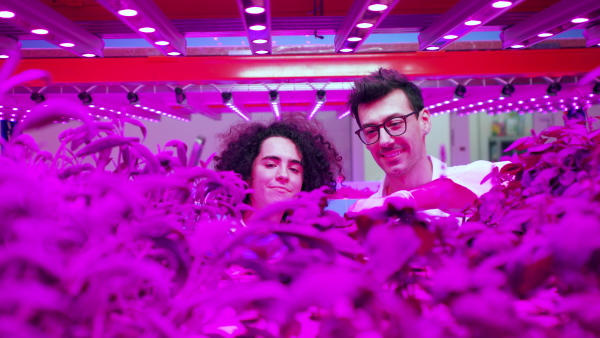 Portrait of workers on aquaponic farm, sustainable business and artificial lighting.