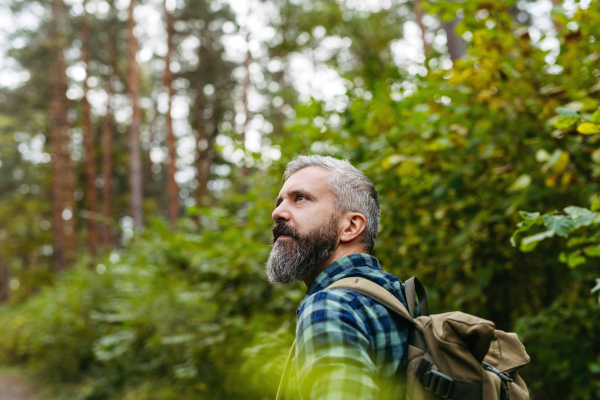 Handsome man standing in the middle of nature, enjoying peaceful atmosphere of forest, forestbathing.