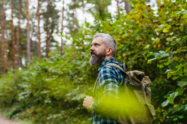 Handsome man standing in the middle of nature, enjoying peaceful atmosphere of forest, forestbathing.