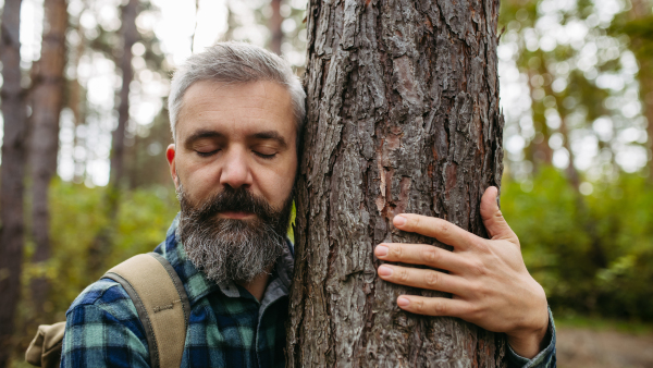 Man standing in the middle of nature with closed eyes, hugging tree. Peaceful atmosphere of the forest, forestbathing.