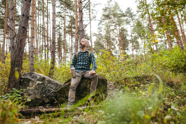 Handsome man standing in the middle of nature, enjoying peaceful atmosphere of forest, forestbathing.