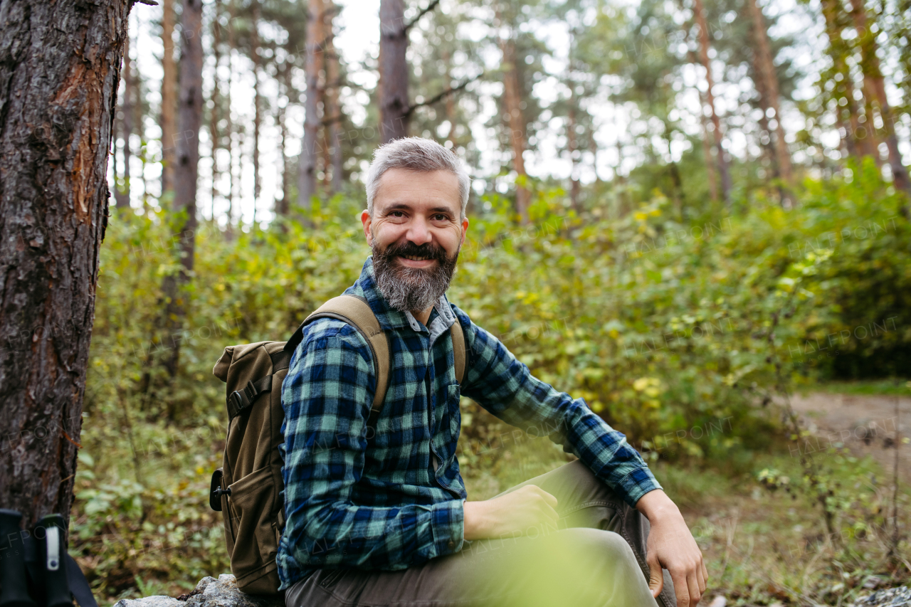 Handsome man sitting on rock in the middle of nature, enjoying peaceful atmosphere of forest, forestbathing.